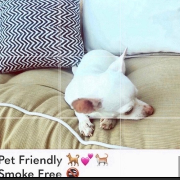 SKY 💕 NWOT Sky Gold lace one shoulder tunic with gold chains - Picture 8 of 12